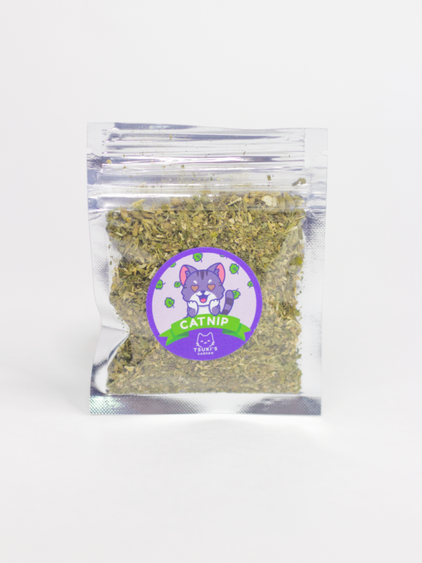 Catnip