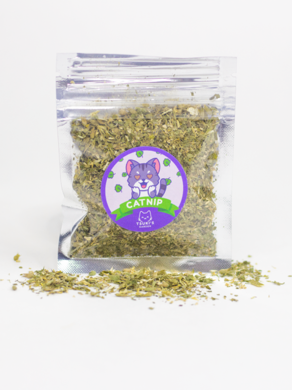 Catnip