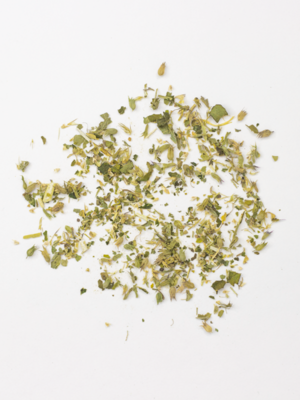 Catnip